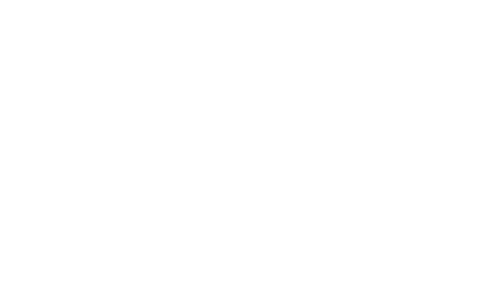 Actual Optic